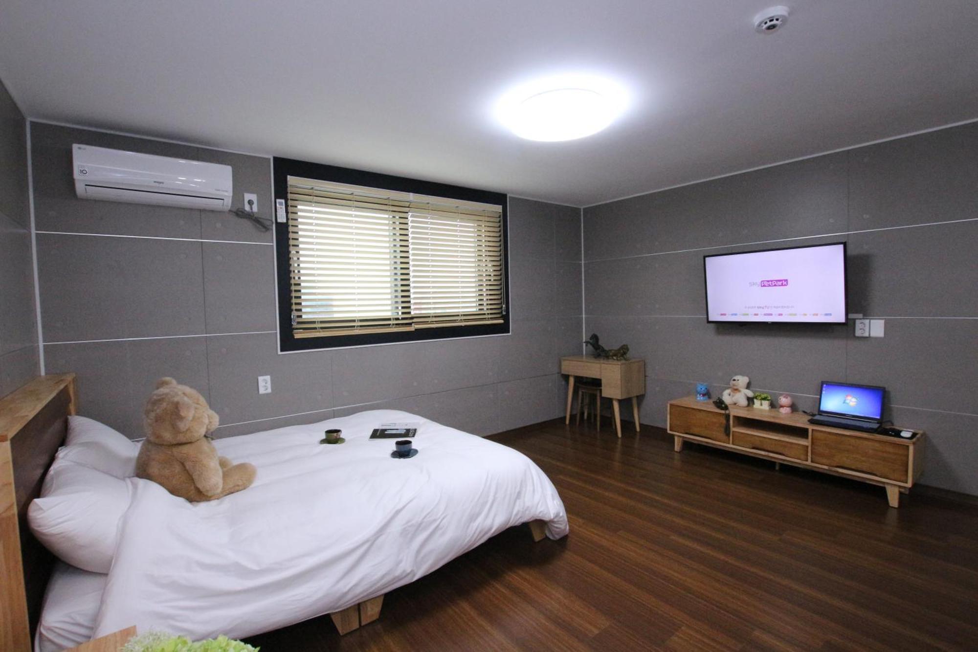 Uljin Blue Ara Cd Pension Room photo